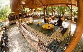 Saban Tree Houses